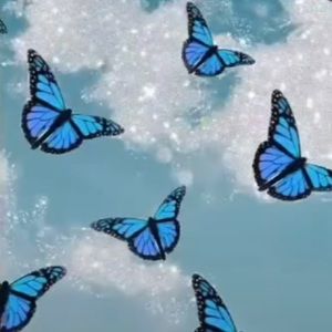 Meet your Posher, Georgia